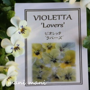 փrI@rIb^ uo[Yv3.5|bgc t[n[c ԕc@񂹐A@[X@Ԓd@rI