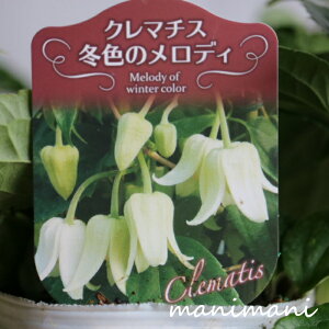 ~炫N}`XuAXGVXv3O|bgc@N}`X@nMO@ϊ