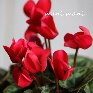 K[f~jVNubhv3|bgc NX}X@ 񂹐A nMO ԕc K[fjO