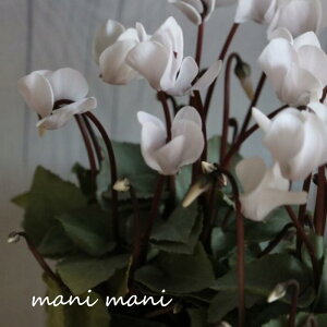 K[f~jVNuVo[r[eB[vzCg 3|bgc@NX}X@@񂹐A@nMO@ԕc