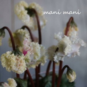 K[f~jVNuX vO[@3.5|bgc@ԕc@񂹐A@Ԓd@c@@NX}X