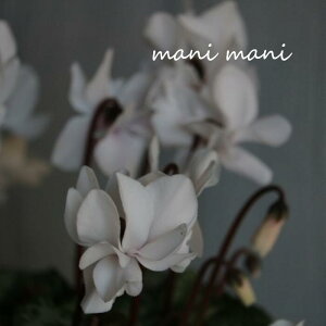 K[f~jVNutFA[sRvzCg 3.5d|bgc@NX}X@@񂹐A@nMO@ԕc@