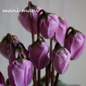 K[f~jVNuEB^[xvoCIbg 3|bgc@ԕc@񂹐A@Ԓd@c@@NX}X