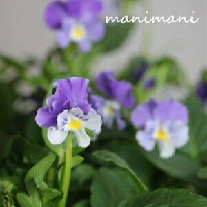 rIup[vn`p[vzCgv3|bgc@ԕc@Ǌ 񂹐A@[X@Ԓd@rI