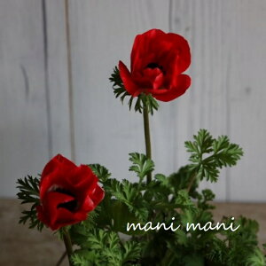 All |gubhnv3.5|bgc@ԕc@񂹐A@Ԓd@h