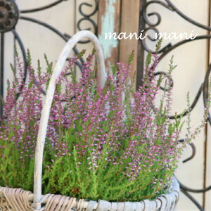 J[i K[fK[YuO[×x_[sNvG^Cv@2.5`3|bgc 񂹐A@A@ԕc@Ԓd