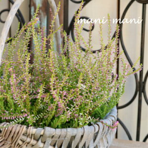 J[i K[fK[YuC×y[sNvB^Cv@2.5`3|bgc 񂹐A@A@ԕc@Ԓd