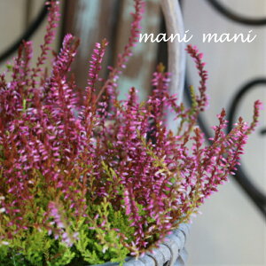 J[i K[fK[YuC×ZsNvA^Cv@2.5`3|bgc 񂹐A@A@ԕc@Ԓd