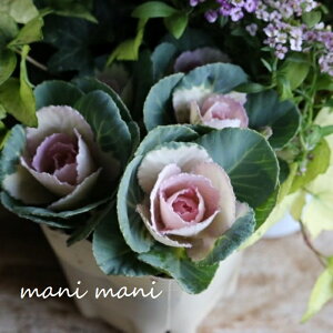 tO@ZbVuXC[gx[v3|bgc@ԕc@c@񂹐A@[X@@n{^