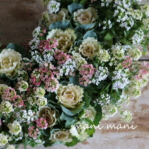 tO@ZbVuxCr[`[v3|bgc@ԕc@c@񂹐A@[X@@n{^