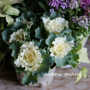 tO@ZbVuyeBN[v3|bgc@ԕc@c@񂹐A@[X@@n{^