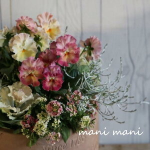 ylCz܁uV[YXyVv10cZbg+܂2c v12cZbg N ܂ ݌ɏ c h N A ϗtA ԕcZbg ԕc 񂹐A Ԓd   K