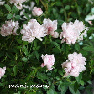 փ~jo uPv3`3.5|bgc lG炫@v@ԕc@c@񂹐A