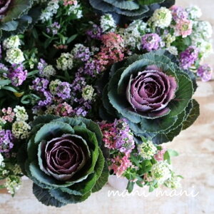 JFtOuGԃVtHv3|bgc@ԕc@񂹐A@[X@n{^@@NX}X