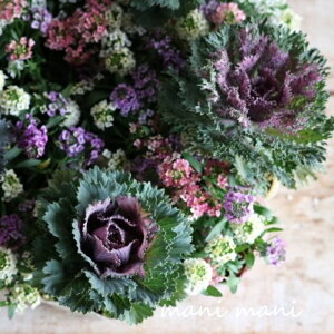 JFtOuGԃObZv3|bgc@ԕc@񂹐A@[X@n{^@@NX}X