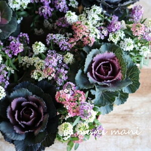 JFtOuGԃVRv3|bgc@@񂹐A@[X@ԕc@n{^@NX}X@AeB[N