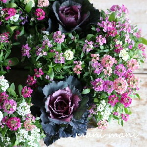 JFtOuGԃr^[v3|bgc@ԕc@񂹐A@[X@n{^@@NX}X