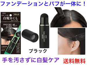 白髪かくしスティック ブラック【送料無料】【ジアミンフリー ノンジアミン パフ 簡単 白髪染め 携帯用 白髪ケア コンパクトタイプ ファンデーションタイプ 生え際 白髪隠し