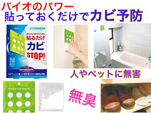 \邾OK Jr\hyzyoCĨp[ŃJr̔h@@o`Xہ@lybgɖQ@L@SS@@@ʔ@N[[bg@ʏ@E