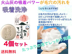  ΎRDz点 90g Aălbgt@4Zbgyzy\[v@΂@tH[@ΎRD̋zp[ь̉̉z@A@~l