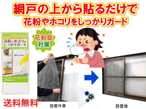 yԌ˂̏ォ\邾ŉԕzRK[hzԌ˗ptB^[ 100cm×200cm 1 E-3120yzyXMԕ@PM2.5@@@@΍@\h@Ƃ̃}XN@lbg@ubN@\邾
