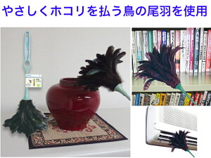 tFU[_X^[40@AG713yzy͂@@zR@ԕ@@X܁@ق@̖с@ȁ@nEX_Xg@|@|@{@X@̉H@ԁ@n^L@