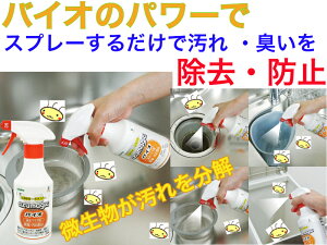 CH884AY}WbNoCIrpCvpyzyXv[邾Ł@|@hL@h@h~@}@𕪉@L@S~@k@OpR[i[@rJo[