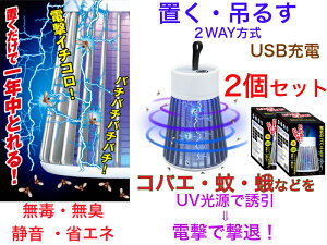 yłǂłJԂgUSB[dEzdC̃RoGƂ@2ZbgyL@Ł@É@ȃGl@@ȒP@@@ށ@E@O@Cg@Ɩ@E@΂