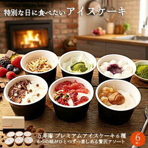 _V^ ACXP[L ґ6  bZ[WJ[ht WF[g ACXN[ Mtg ACX   ~N   `R lC  6 66 蕨 I Ε