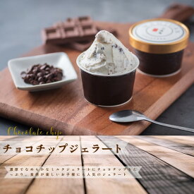 お子さま お子様 人気 チョコアイス 小カップ 市場直営 甘栗専門店 万寿庵 アイスクリーム ジェラート ☆TVで紹介★ チョコチップ 子ども 兵庫県牧場ミルク使用 風味豊か 卵不使用