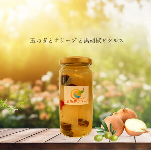 ʂ˂ƃI[uƍӞsNX t[hX SDGs KiO KiOʕ KiOgp nYn