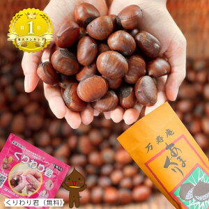 yVIׁzłނƔUPIktÌI ̊ÌIVI! 1027()o׃X^[g ܂  VI VÊÌI 300g 3܁i900g) H@ t_ r^~ IXC[c lC I 