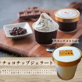 お子さま お子様 人気 チョコアイス 大カップ 市場直営 甘栗専門店 万寿庵 アイスクリーム ジェラート ☆TVで紹介★ チョコチップ 子ども 六甲山麓牧場ミルク使用 風味豊か 卵不使用