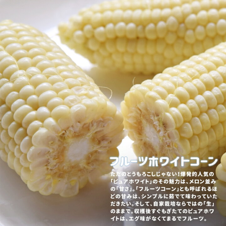 楽天市場 トウモロコシ 苗 野菜苗 スイートコーン ピュアホワイト 3号 直径9cm ポット苗 とうもろこし 白 極甘 あなたの街のお花屋さんイングの森