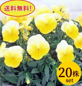 悭炭X~ l[h |bgc@20Zbg pW[ rI c CObVK[f 񂹐A