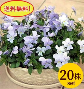 rI rr wu[u[ |bgc@20Zbg  pW[ rI c CObVK[f 񂹐A