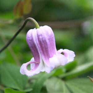 N}`X ^Cj[E|bv 4D5TCY2N|bgc