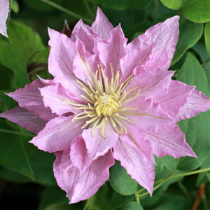 N}`X [jOeB[ 4D5TCY2N|bgc