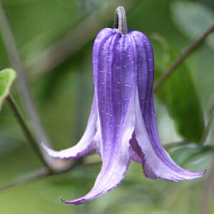 N}`X EH[J[YEu[X 4.5TCY@2N|bgc