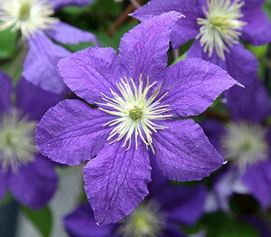 N}`XEBY[ 4.5TCY 2N|bgc