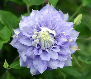 N}`X }Y[ 4.5TCY2N|bgc