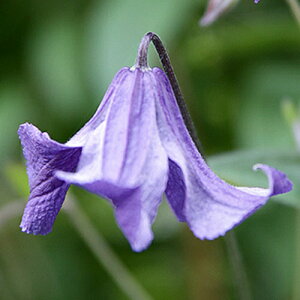 N}`X u[EC 4.5TCY2N|bgc