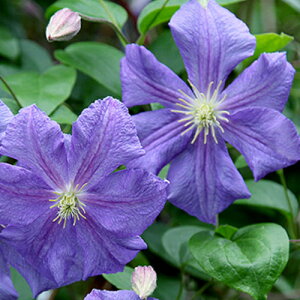 N}`X yE_W[4.5TCY2N|bgc