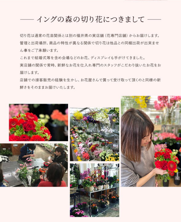 楽天市場 遅れてごめんね 母の日 22 花 ギフトそのまま飾れるスタンディングブーケ 水やり水替え不要 プレゼント誕生日 アレンジメント フラワーギフト クリスマス お正月 定年 還暦祝い 歓送迎会 花束 結婚祝い 祖母 おばあちゃん お友達 送料無料 あなたの街のお