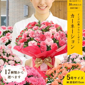 楽天市場 鉢花 種類 植物 ラン カーネーション 花 観葉植物 花 ガーデン Diy の通販