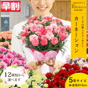 超早割! 母の日 カーネーション 12種類から選べる カーネーション5号サイズ 鉢植えこだわりラッピング 全国一律 送料…
