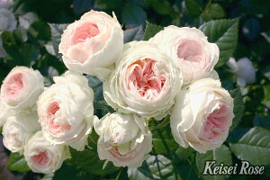 oc pV~iTM Yc c 6A RfXo