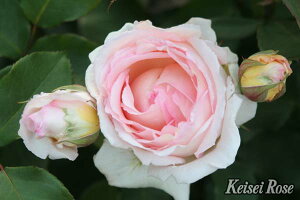 oc OTíjYc c 6A o|oiPj