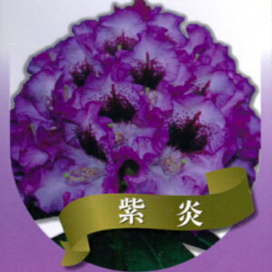 mVNiQ ([hfh) ij 6ia18cmj Γ