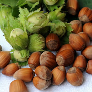 w[[ibcimnVo~j 4.5(a13.5cm) |bgc 1 2N ϊt c